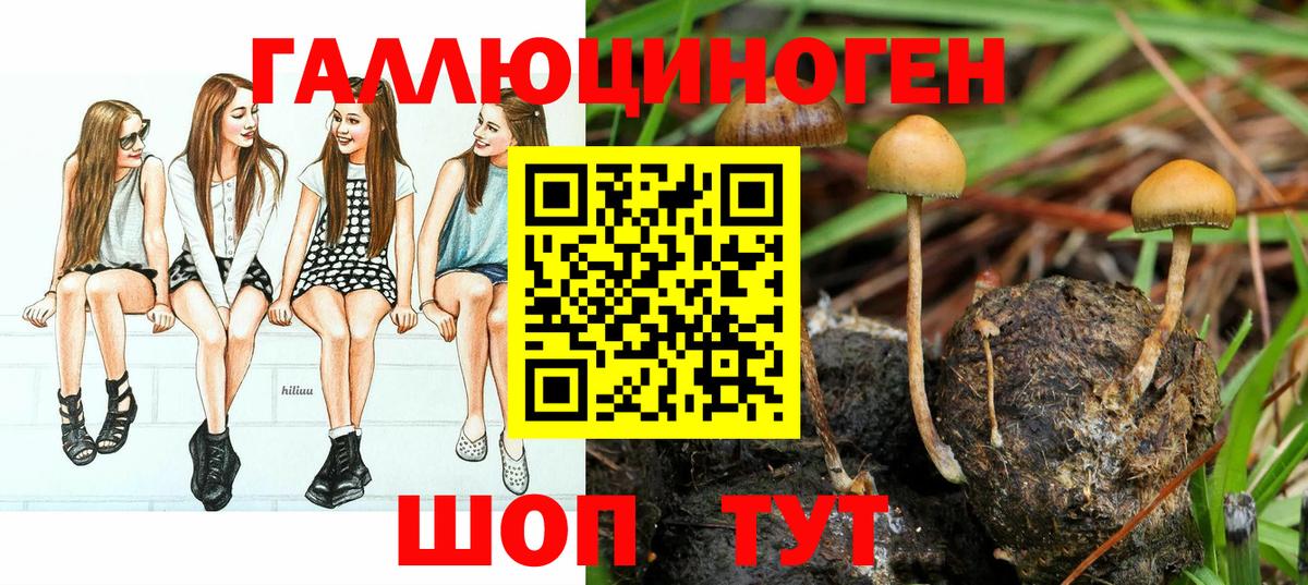 Псилоцибиновые грибы MAGIC MUSHROOMS  Галлюциногенные грибы прущие грибы  Междуреченск  Вход с VPN 