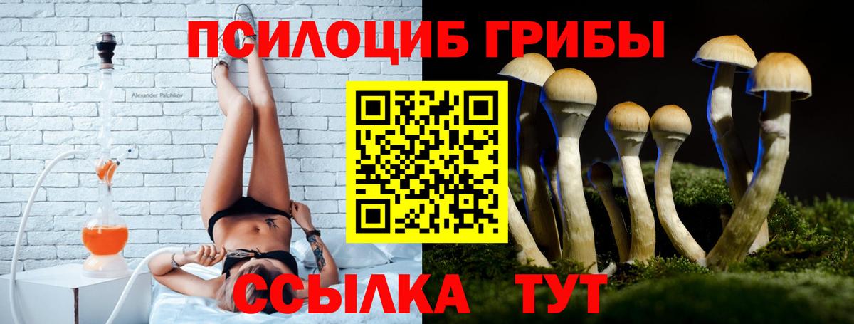 Галлюциногенные грибы ЛСД Междуреченск